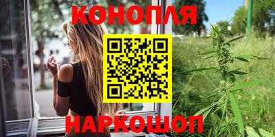 Альфа ПВП Кандалакша
