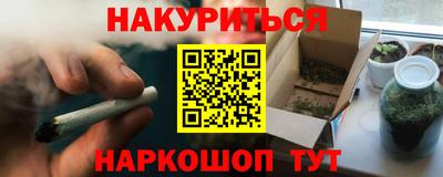 Альфа ПВП Кандалакша