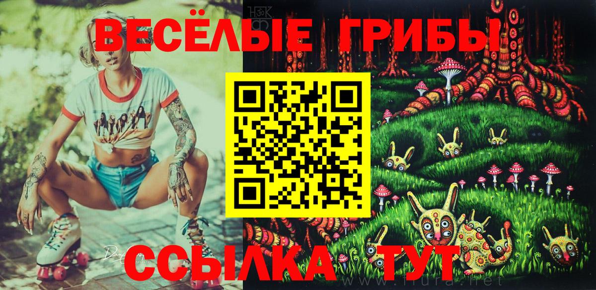 Крымск  Псилоцибиновые грибы Magic Shrooms  Вход с VPN 